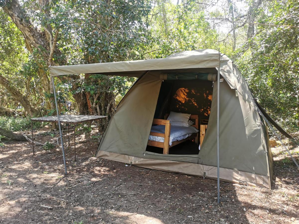 Fairy Knowe Backpackers Lodge Wilderness Exterior photo