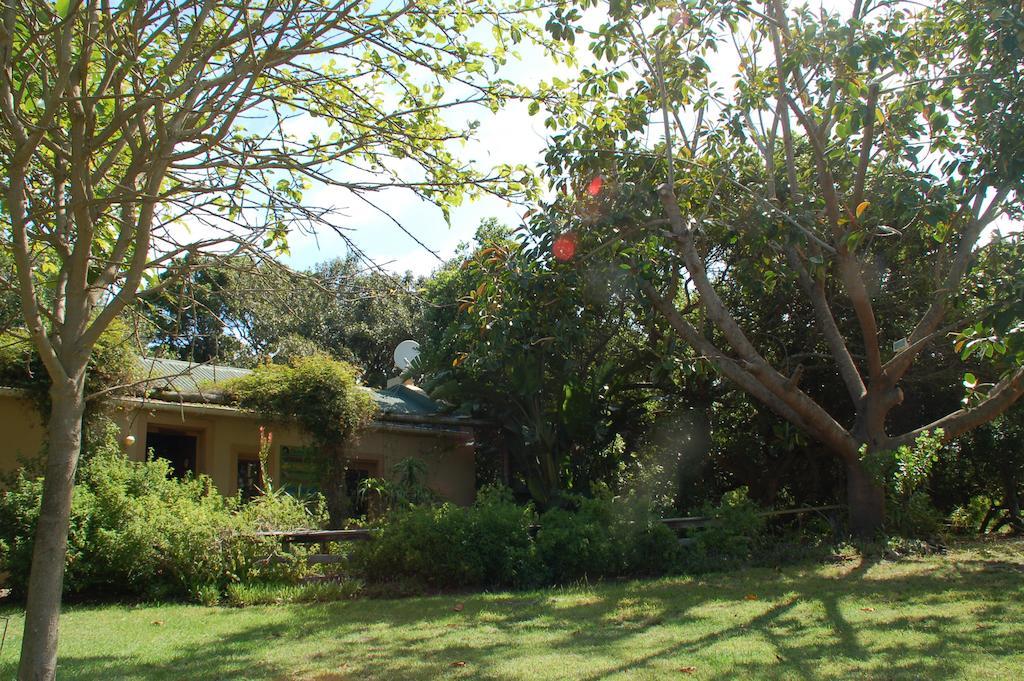 Fairy Knowe Backpackers Lodge Wilderness Exterior photo