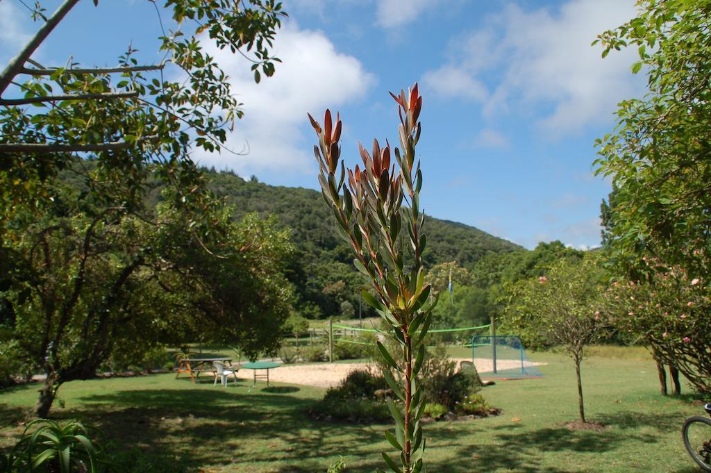 Fairy Knowe Backpackers Lodge Wilderness Exterior photo