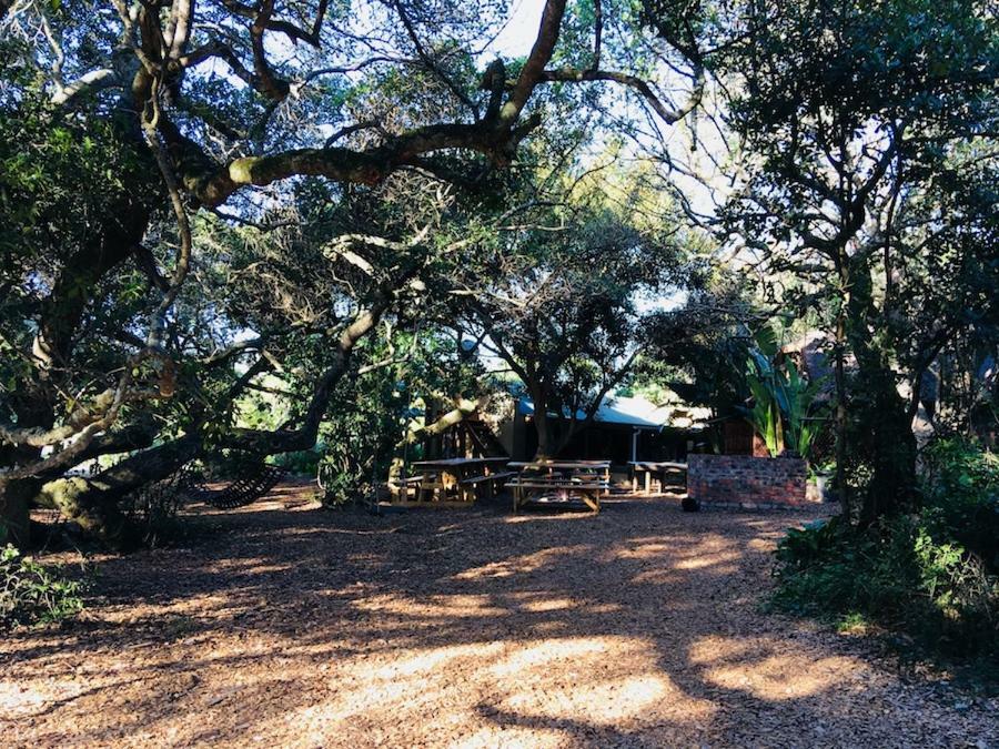 Fairy Knowe Backpackers Lodge Wilderness Exterior photo